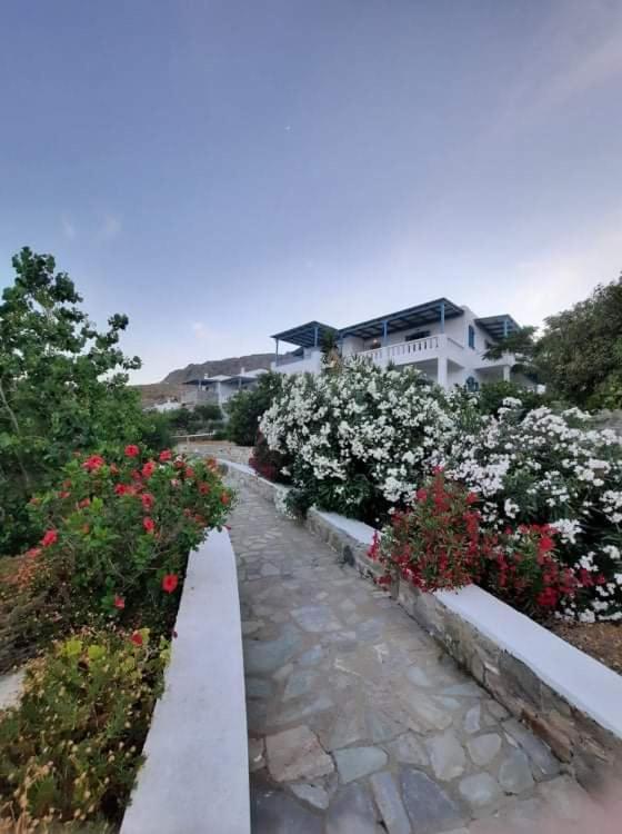 Medusa Accommodation Livadakia Esterno foto